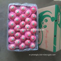 /msite/products/detail/productid/54855505/id/542998.html